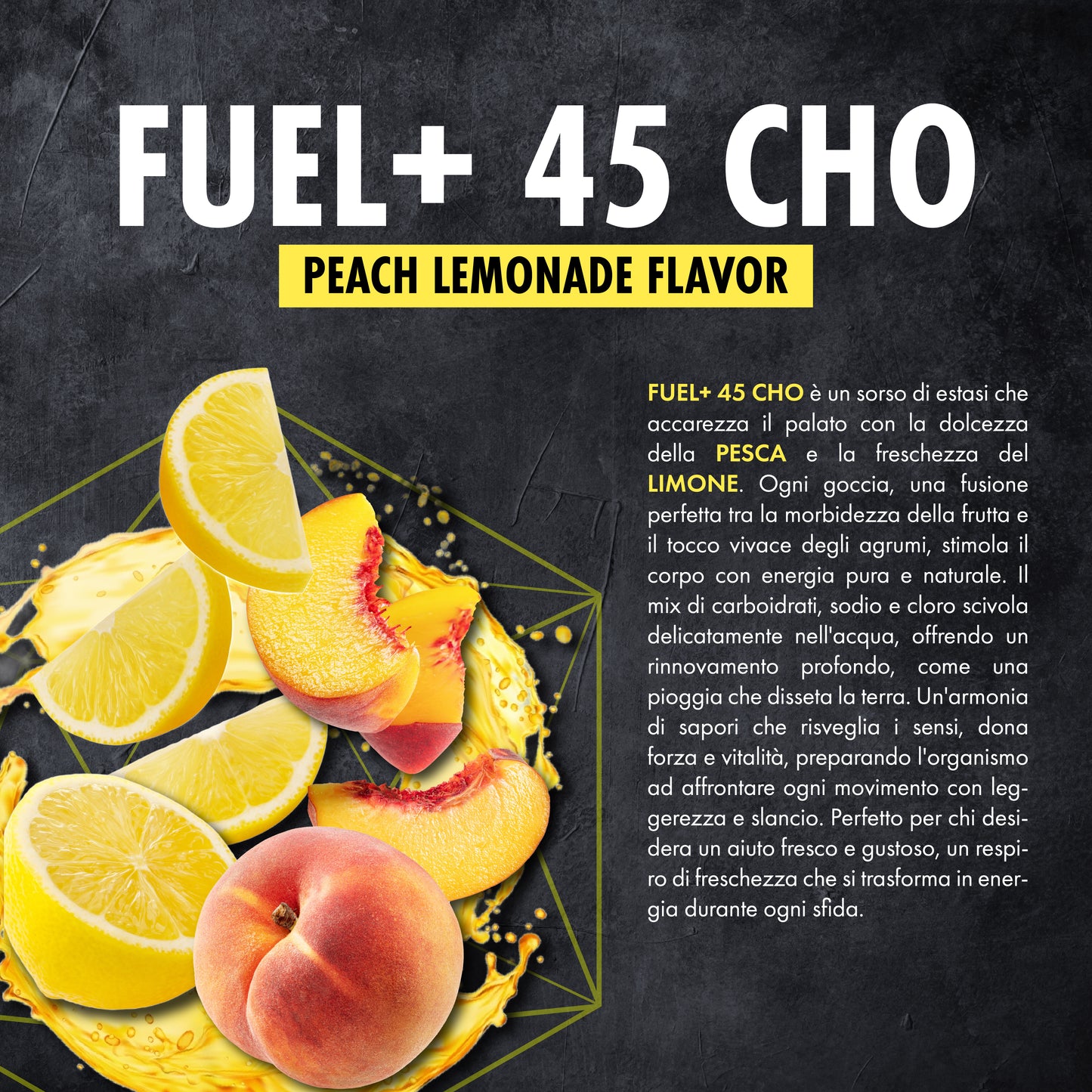 FUEL+ 45 CHO
