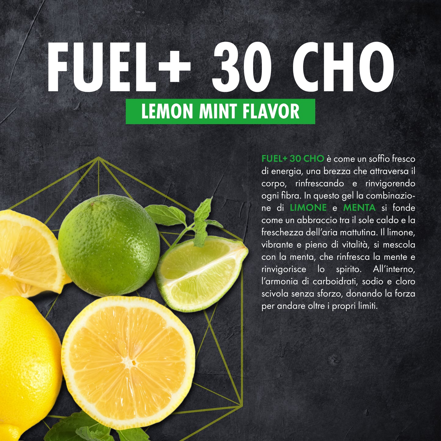FUEL+ 30 CHO