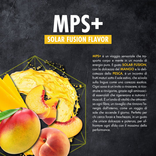 MPS+ Buste