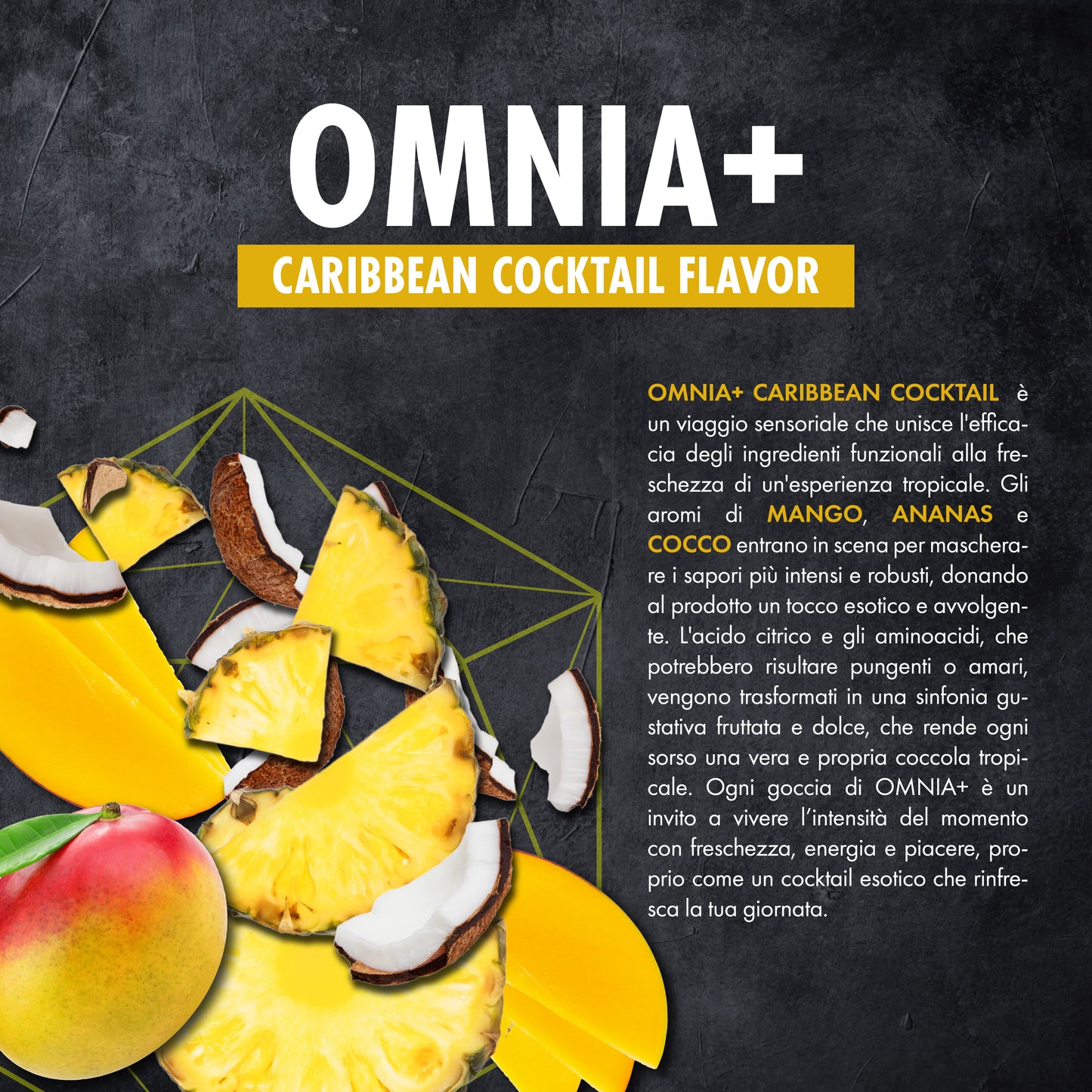 OMNIA+