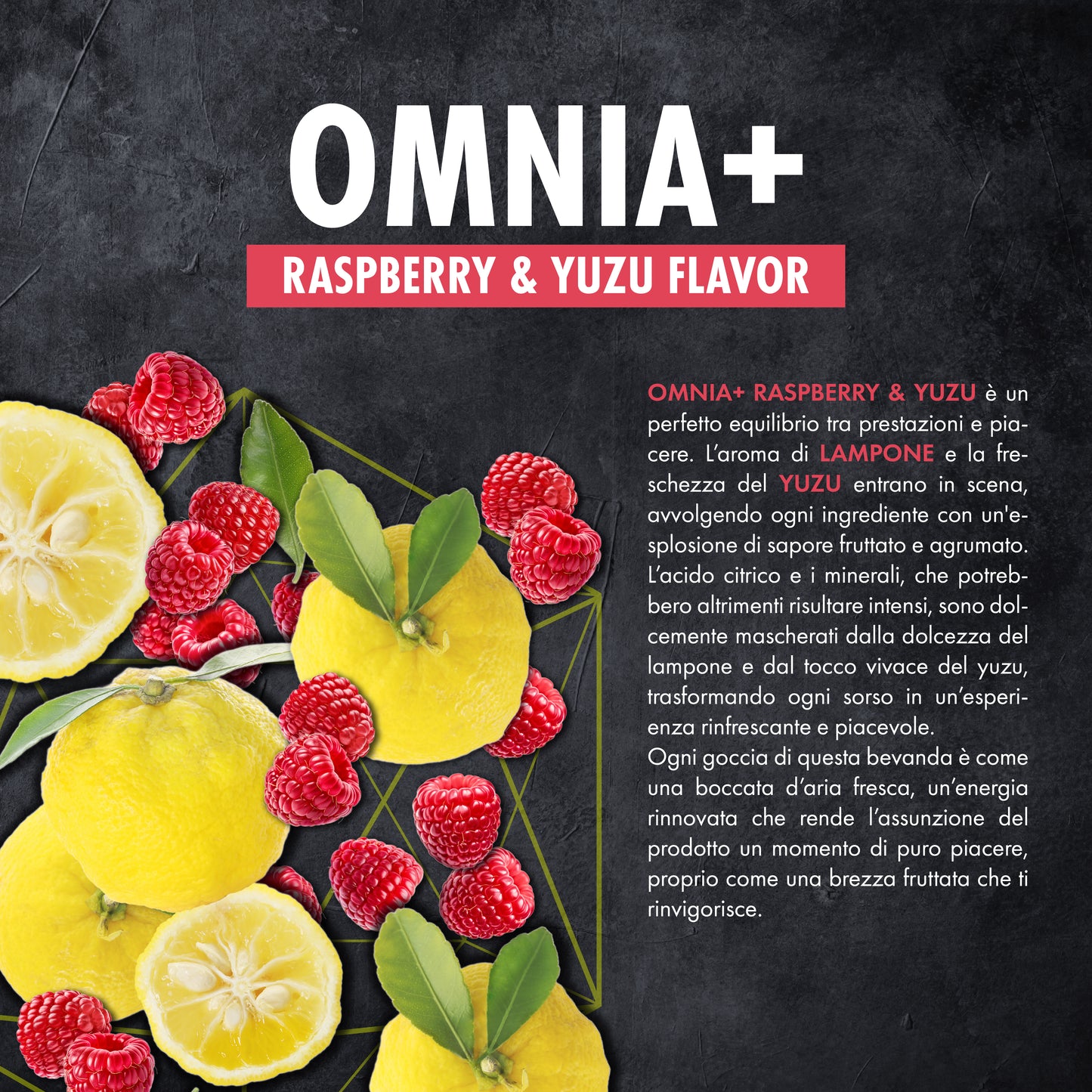 OMNIA+
