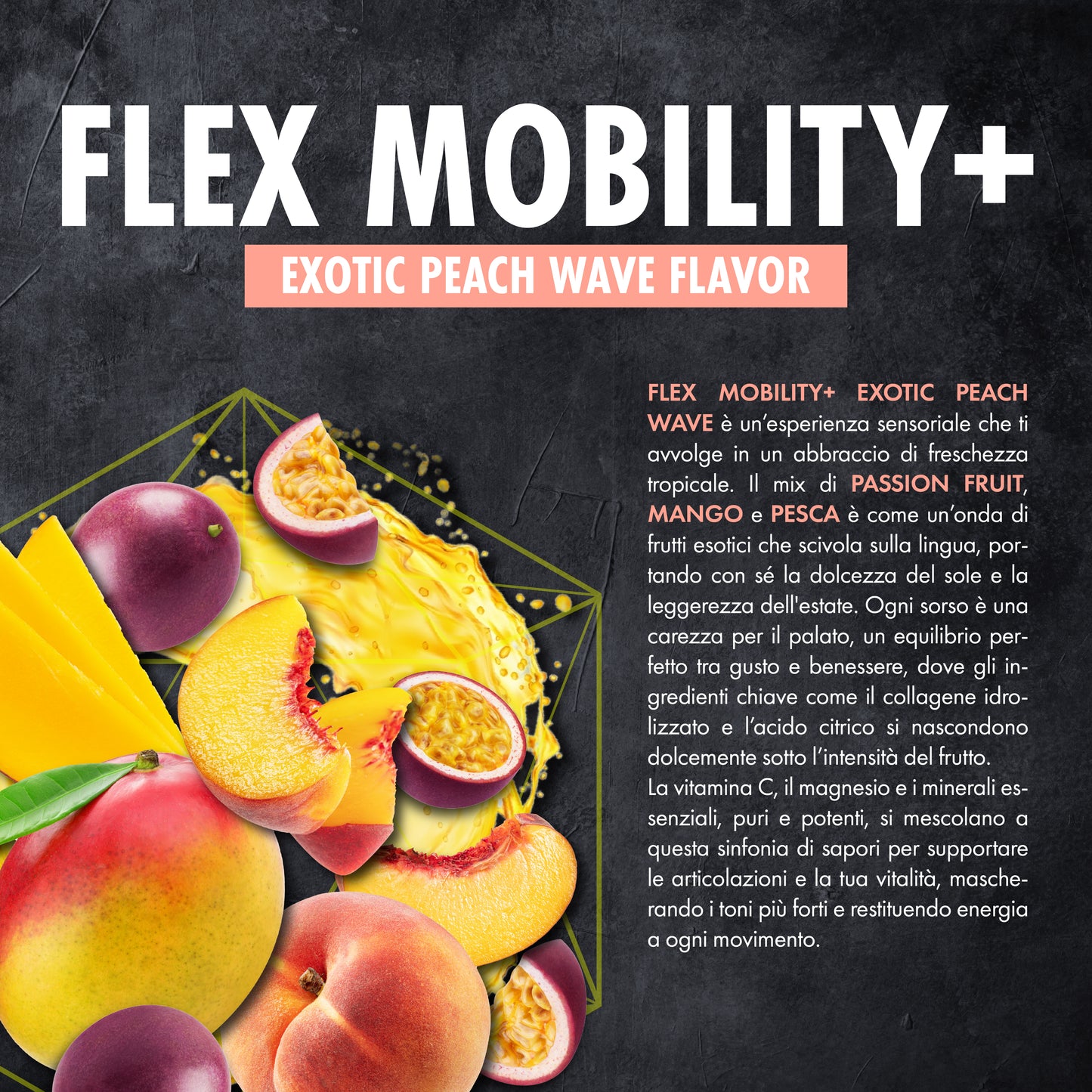 FLEX MOBILITY+