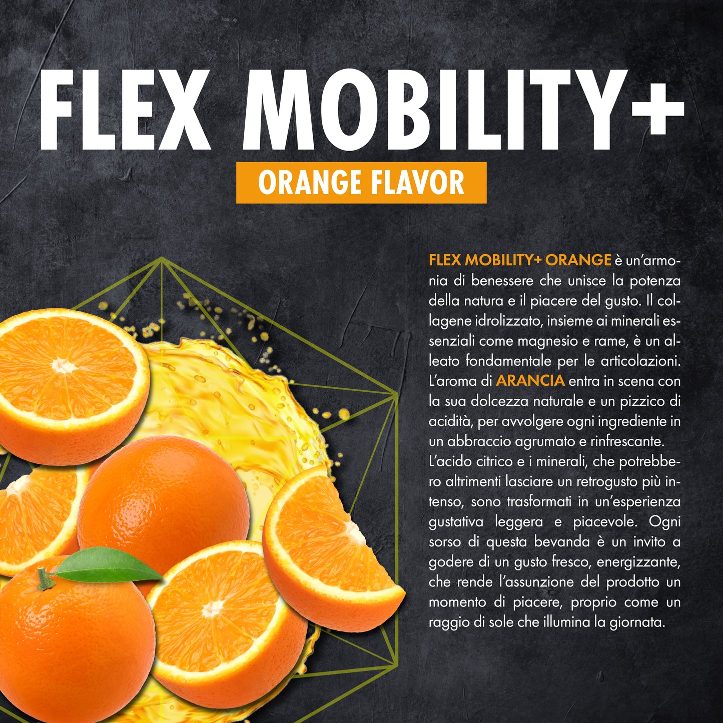 FLEX MOBILITY+