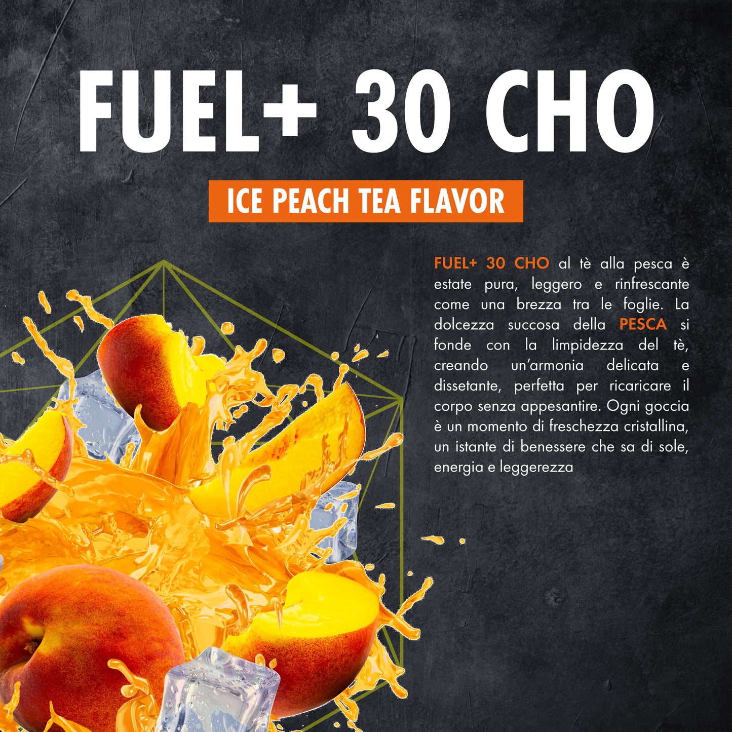 FUEL+ 30 CHO
