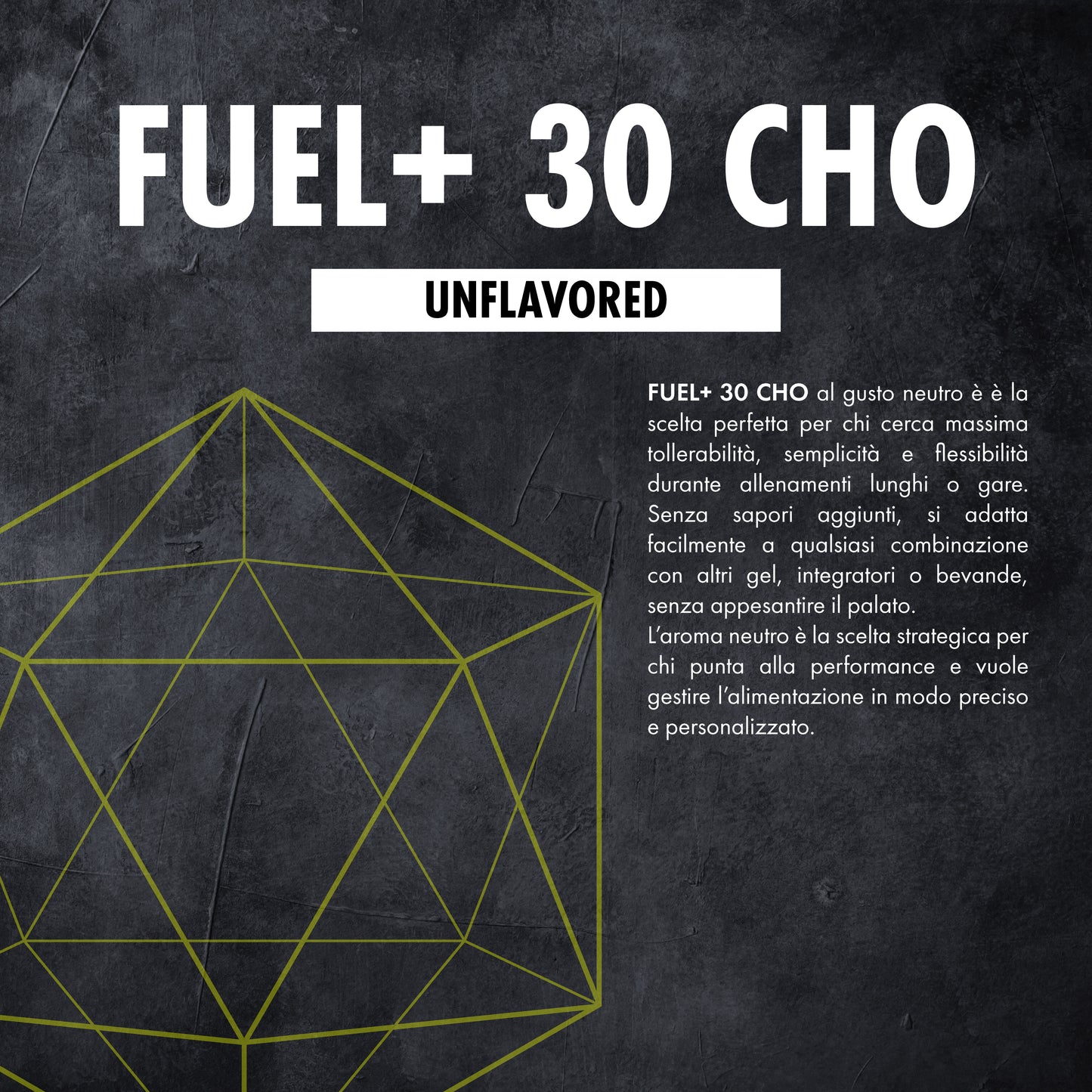 FUEL+ 30 CHO