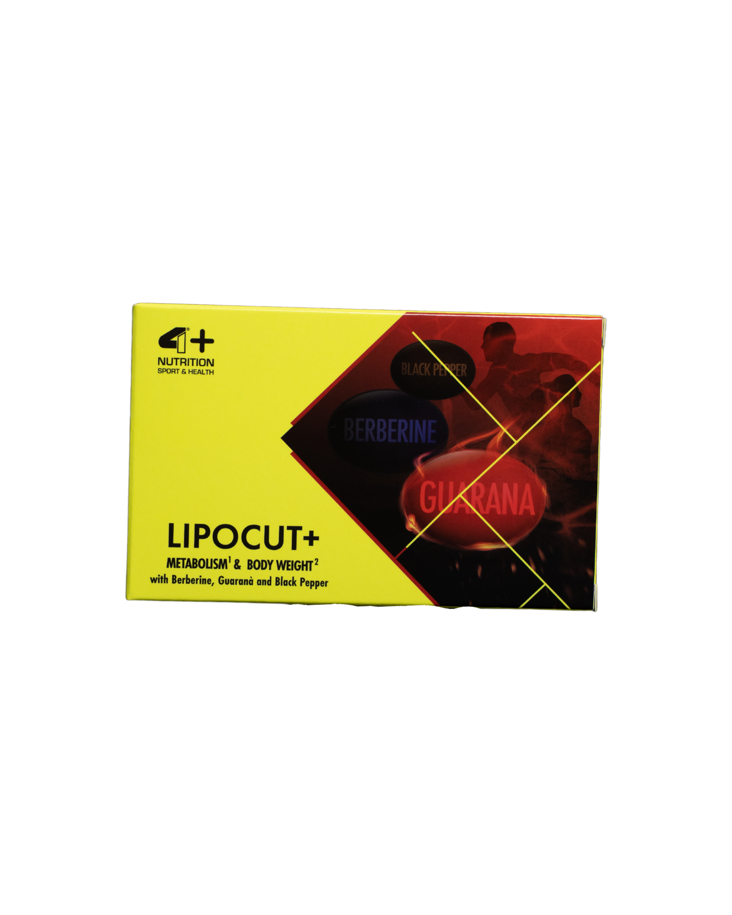 LIPOCUT+