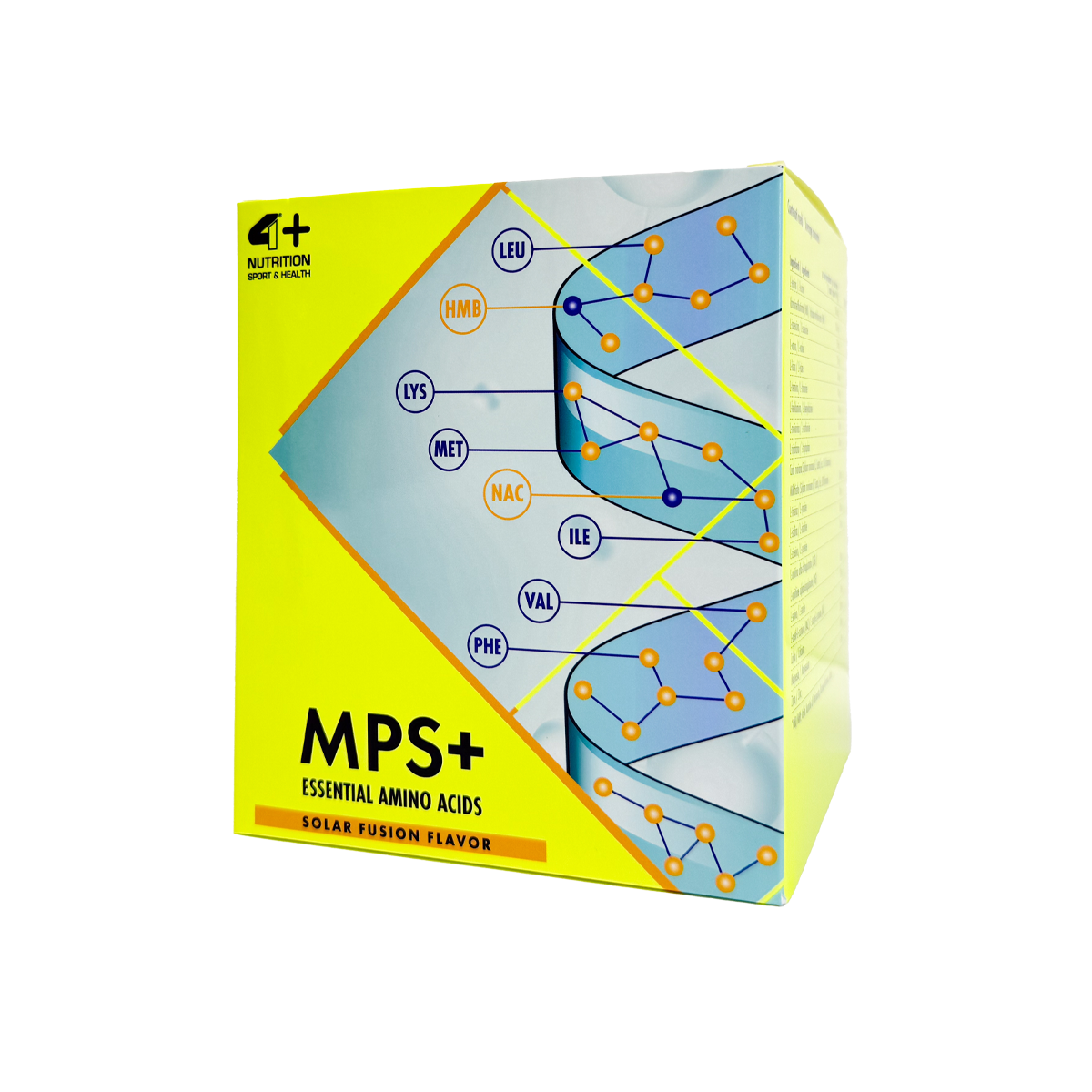MPS+ Buste