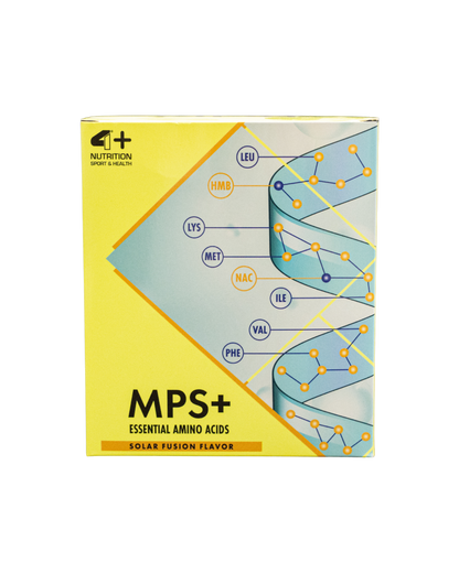 MPS+ Buste